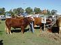 beef-week 004